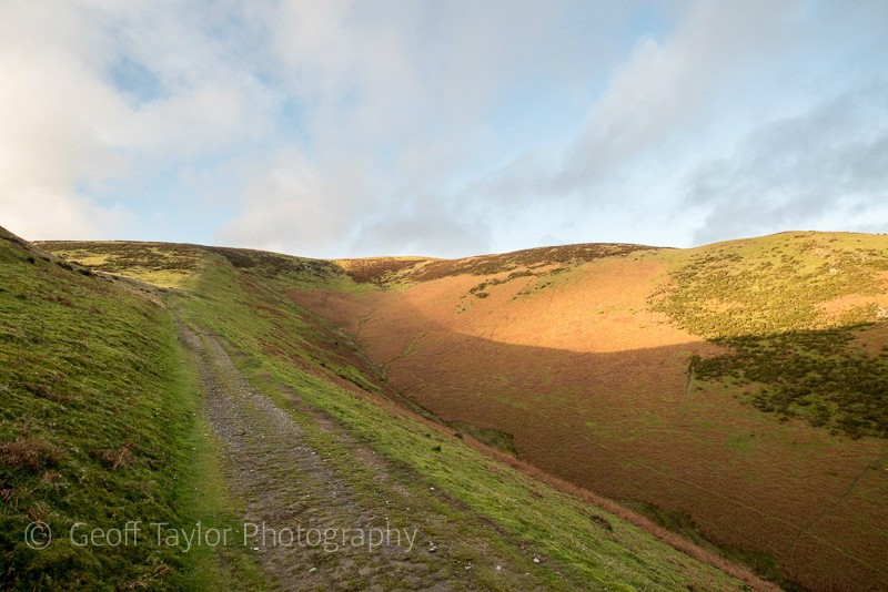 Small Batch - The Long Mynd