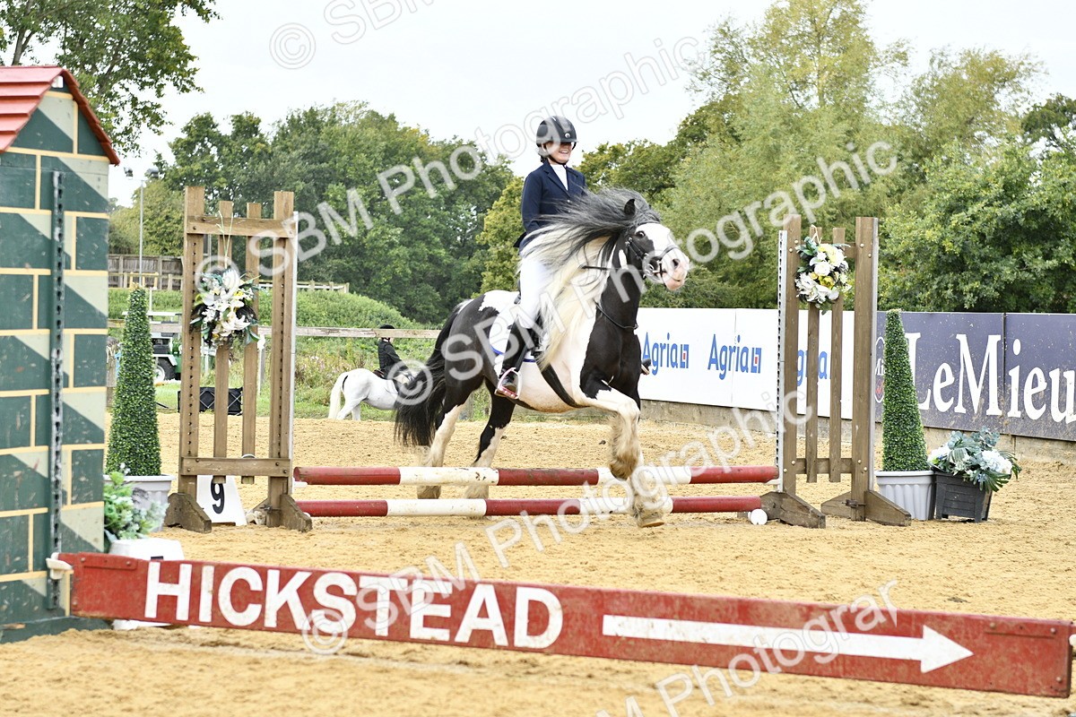 SBM_57249 - J61 - Mini Clear Round 30cm & 40cm