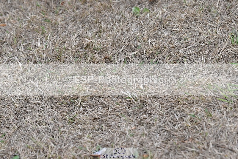 250820A-173843-12136 - Wednesday Presentations