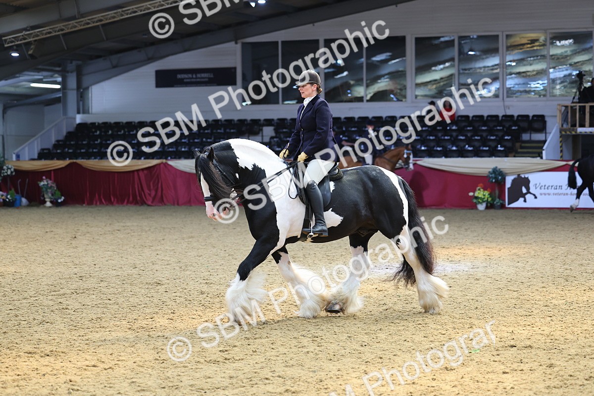 SBM_24078 - Class 905 - Supreme Final - Ridden Veteran