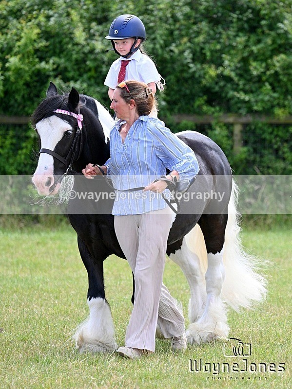 WJ7_8131 - Nancy And Churchill SORC summer show 21-06-26