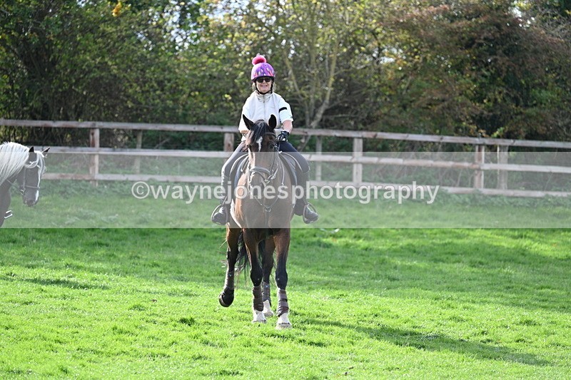 WJ7_1043 - Time 14:27 to 15:11