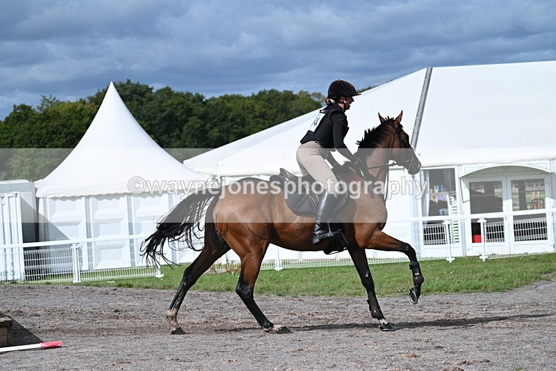 WJ7_0446 - Time 11:36 to 12:00