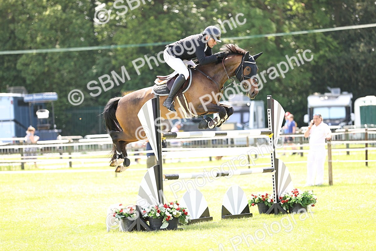 SBM_04036 - Class 201 - British Horse Feedds Speedi Beet HOYS Grade C