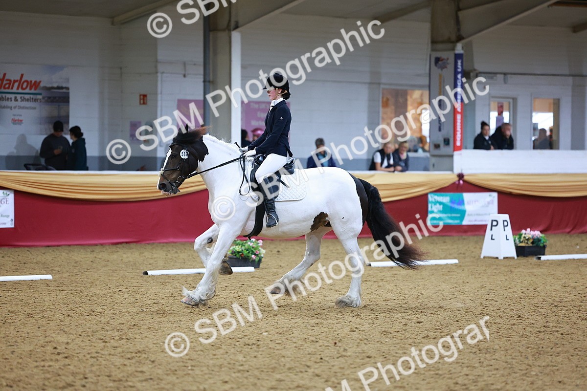 SBM_06633 - Class 61 - Dressage to Music