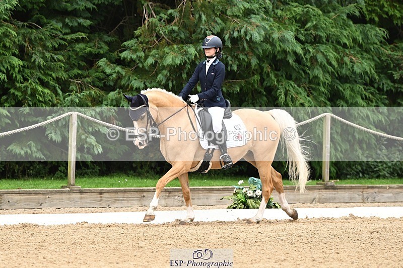 240811-122903-05843 - 301-Sophia.Longworth-Don.Deluxe