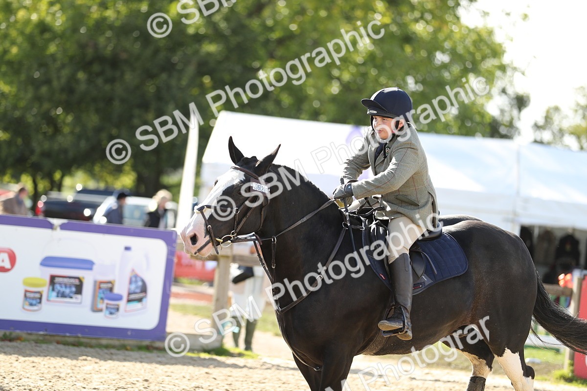 SBM_49574 - J22 - Junior Horse 65cm Championship