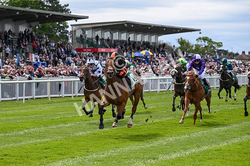 160526-Race 1-Dees Funny Girl-9206 - Race 1 1.52pm Marion Gibson Brown Memorial - Irish EBF Restricted Maiden Fillies' Stakes  (Div I)