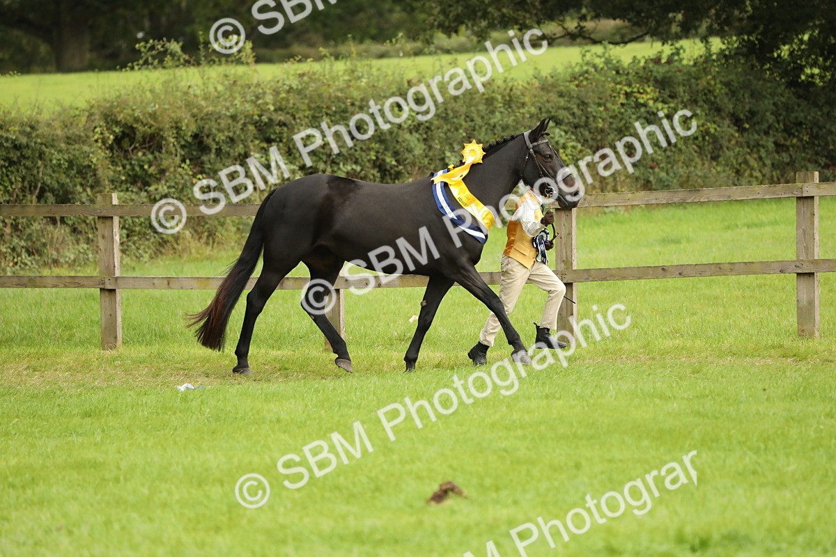 SBM_75414 - Equitation Supreme Championship