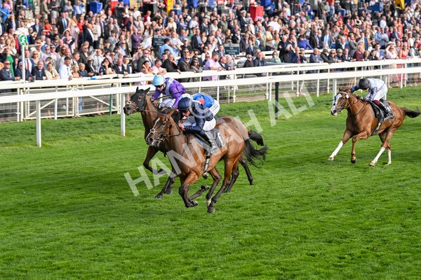 210825-Race 7-Royal Velvet-5645 - Race 7 5.20pm British EBF Fillies' Handicap