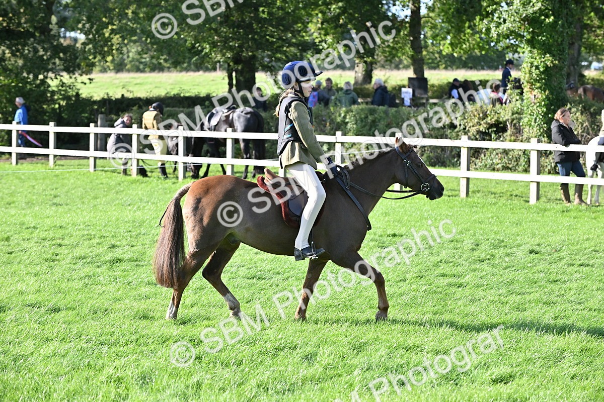 SBM_51300 - S22 - First Ridden show and show Hunter Pony