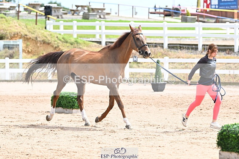 240717A-142913-02086 - Trot Up 2pm to 3pm - This folder is not in time order