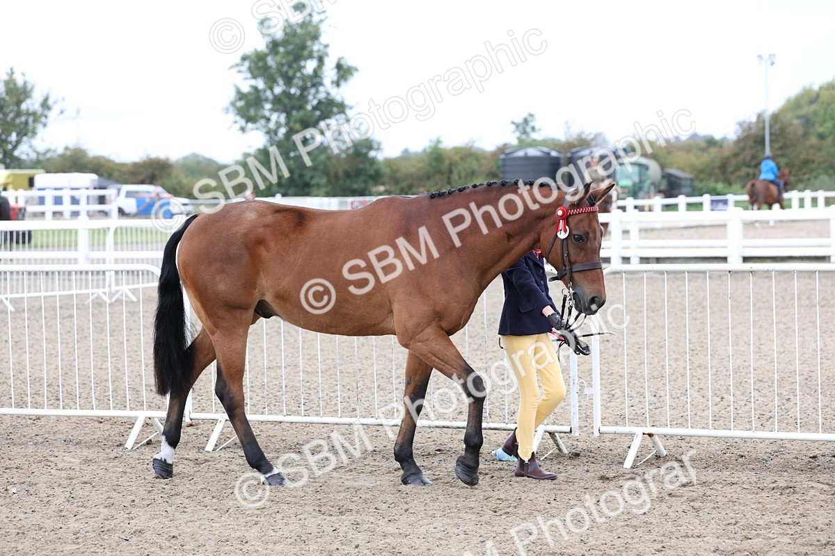 SBM_00028 - Class 50 - Best Turned Out IH