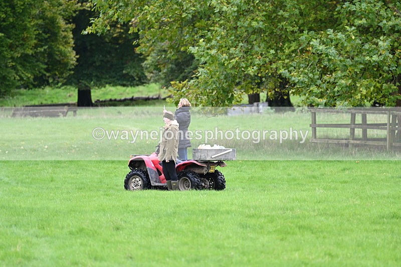 WJ7_4303 - Camera 1 Line 3