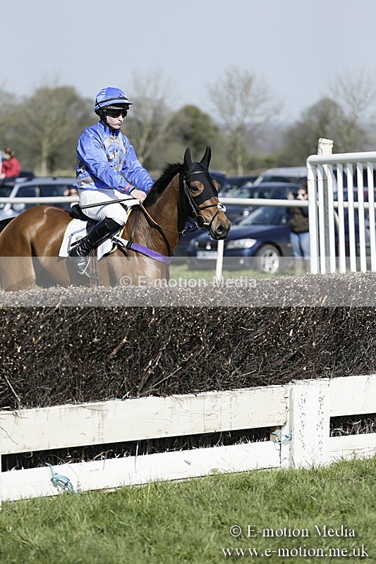 PtP 260317 150 - Mendip Farmers Point-to-Point Ston Easton 26/03/17