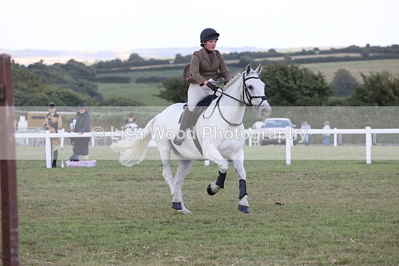 JPP_3617 - Class 24: Open Working Hunter