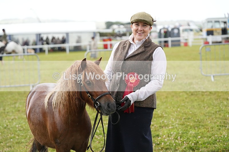 DSC04638 - Class 46: NPS Shetland Youngstock