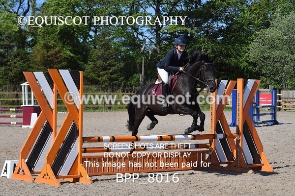 BPP_8016 - CLASS 2 Club/ Unaffiliated 80cms Open