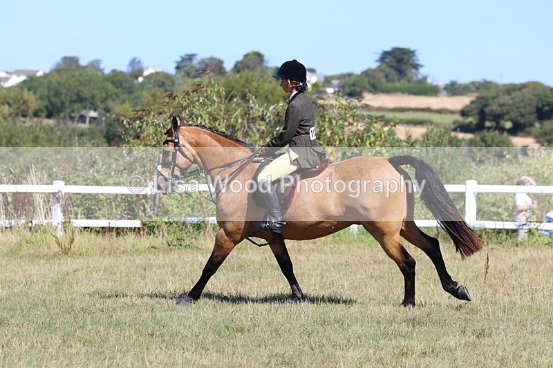 3E7A5832 - Class 5: Working Hunter 90cm