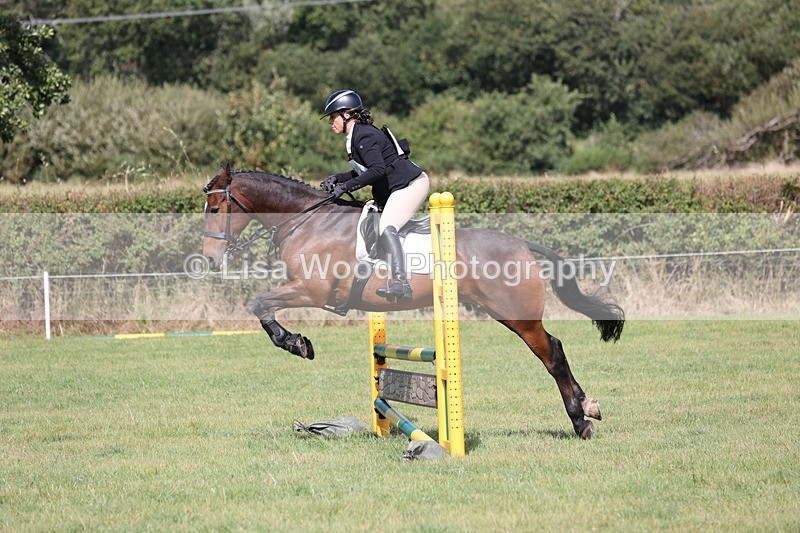 JPP_8871 - Class 2: Trekenning: 80cm Showjumping