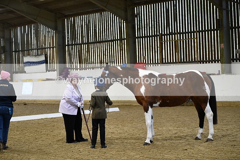 WJ5_3809 - Class 5 In Hand Veterans