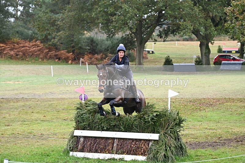 WJ6_2697 - 80cm Cam 1 Time 11:23 to 12:04