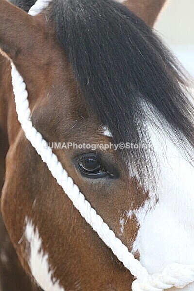 SIAL0307 - Indoor Classes