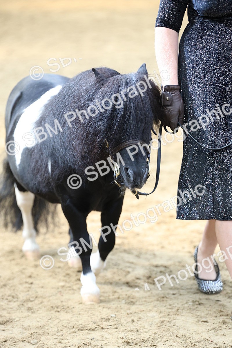 SBM_23325 - Class 903 - Supreme Final - IH Pre Vet