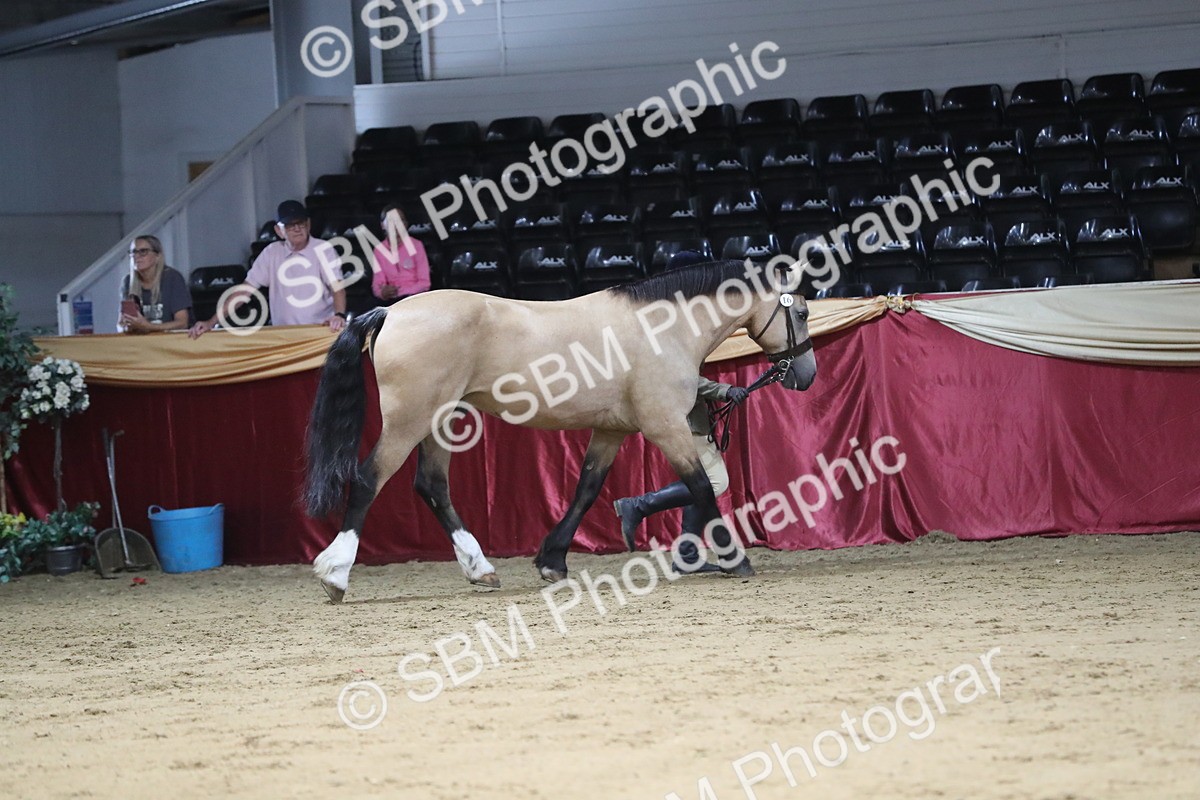 SBM_06320 - Class 9R Regional- IH Pre Vet