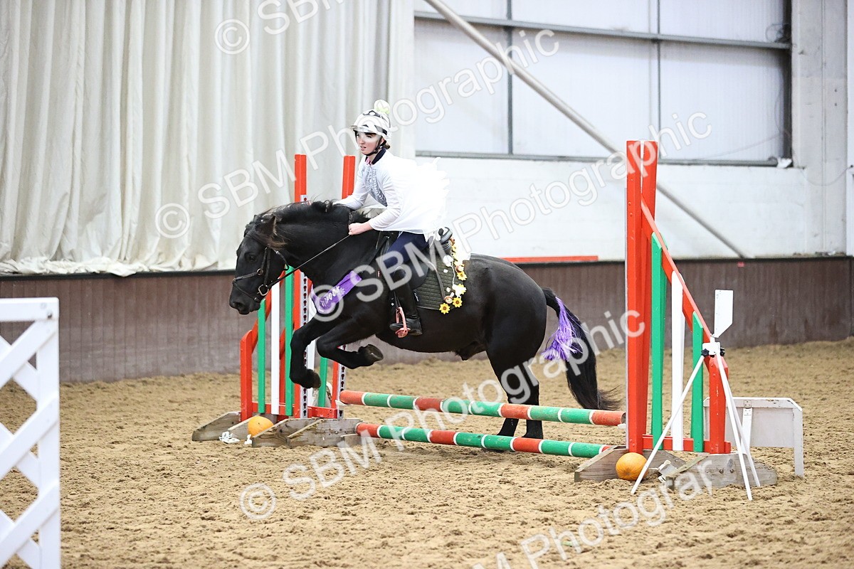 SBM_000294 - Class 2 - Show Jumping 50cm