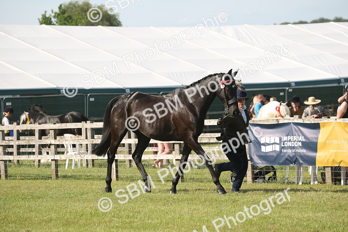 SBM_10313 - Class 33-38 - SSADL RIHS Qualifiers