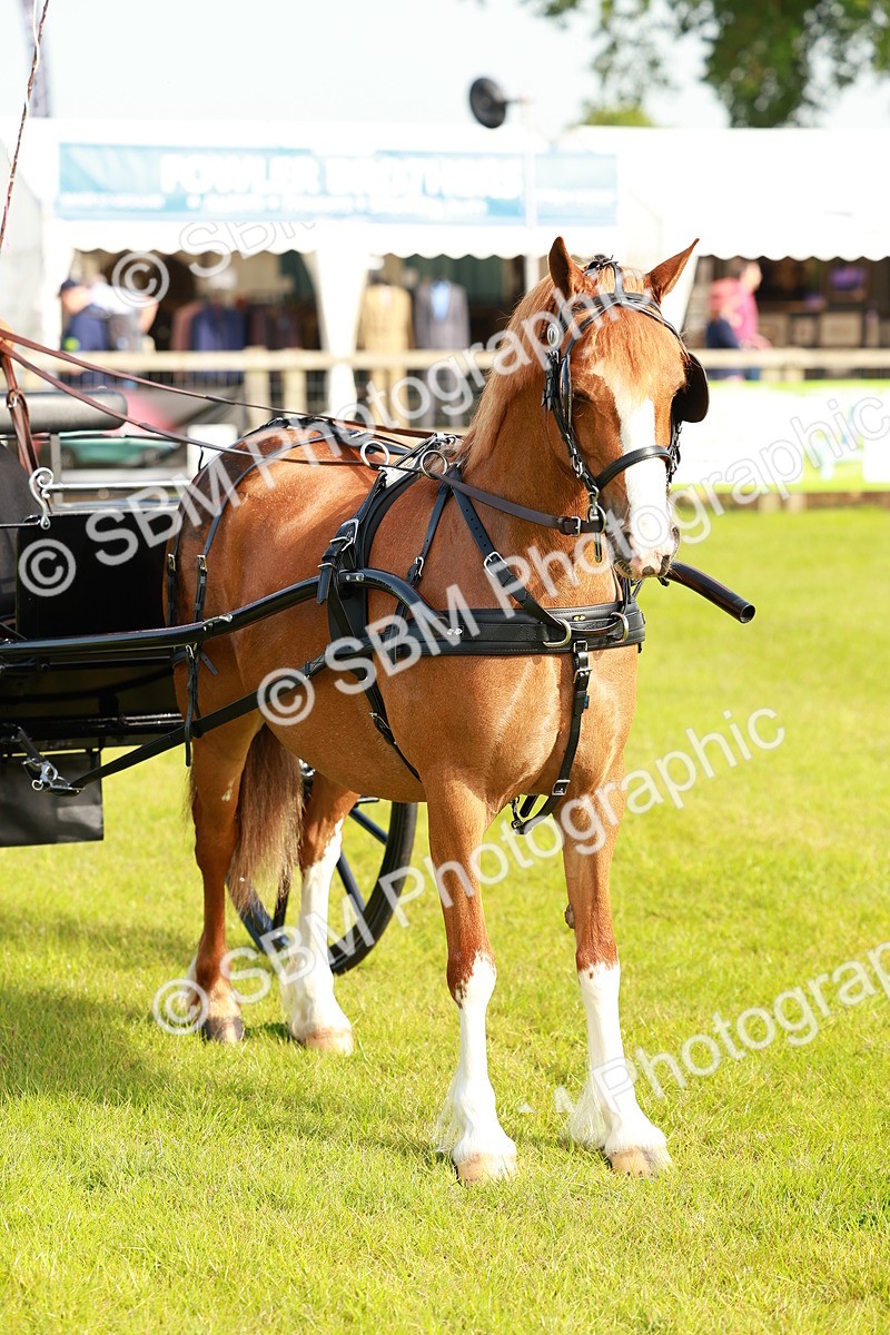 SBM_00295 - Class 1 - Private Driving