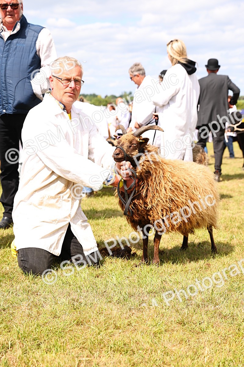 SBM_16979 - Grand Parade