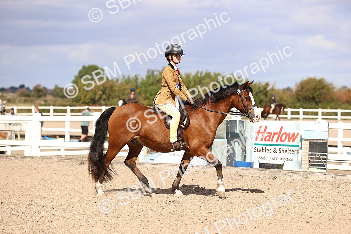 SBM_12897 - Class 409 - Grassroots Ridden - Pony