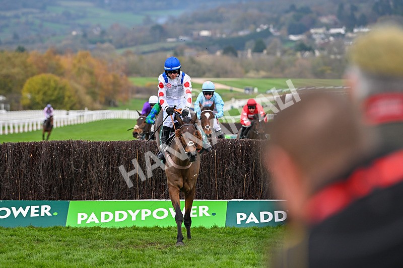 161124-Race 4-Il Ridoto-0430 - Race 4