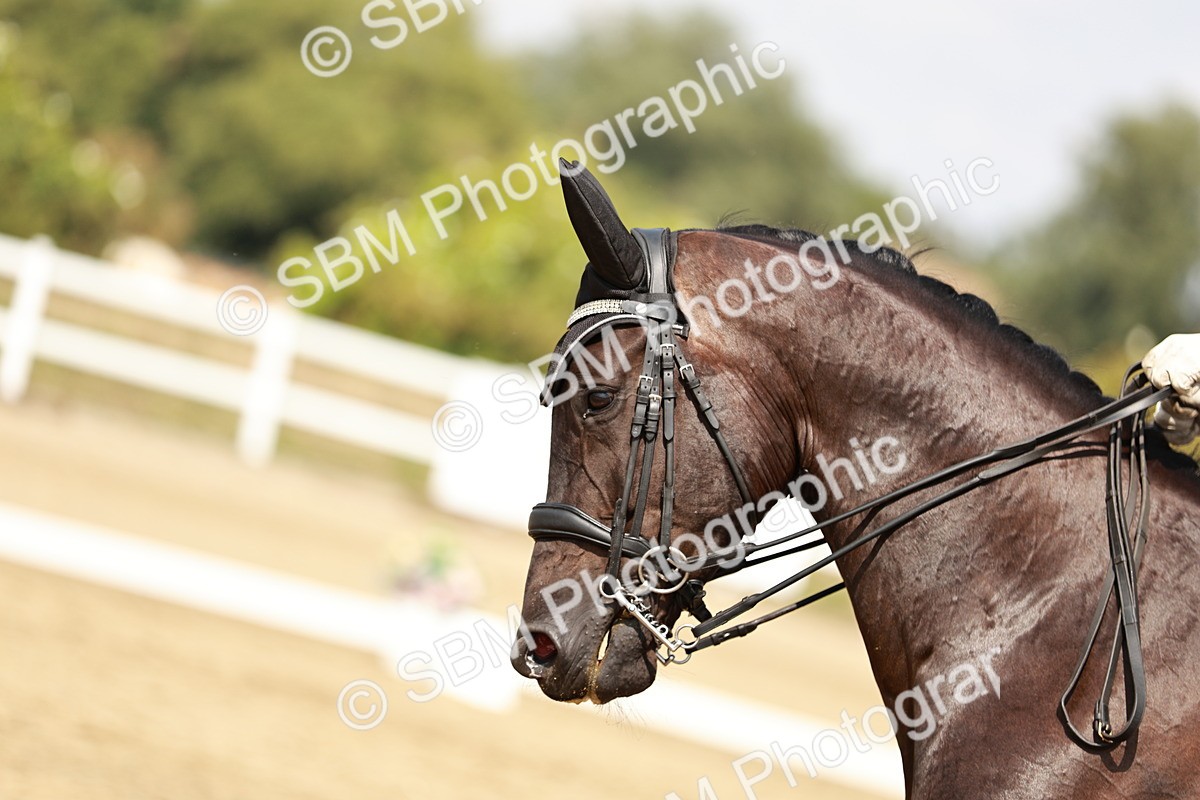 SBM_004133 - Class 7 - Advanced Medium 6 Gold - 14.52-16.00