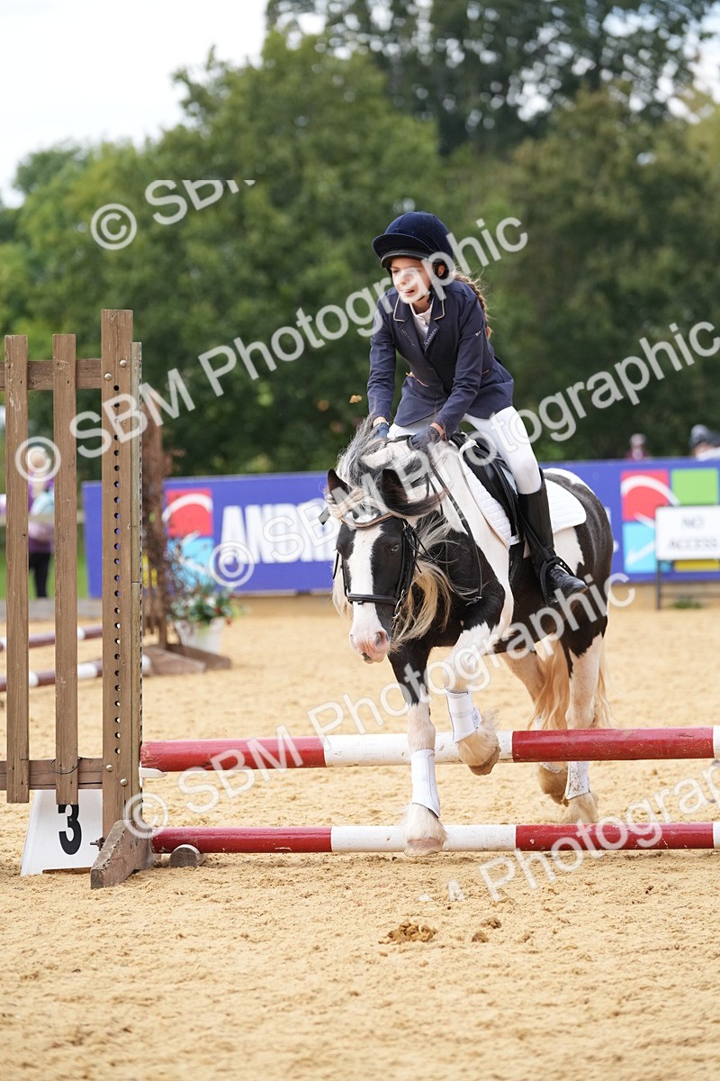 SBM_74769 - J4 - Mini Tour Junior Pony 45cm Championship