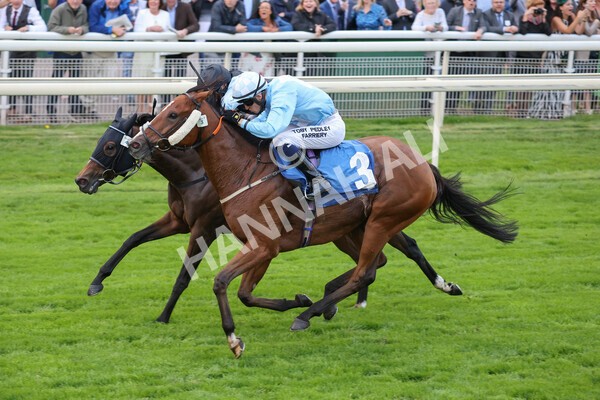 yr24092021r8-18 - Race 8 5.25pm William Hill Build Your Own Odds Apprentice Stakes
