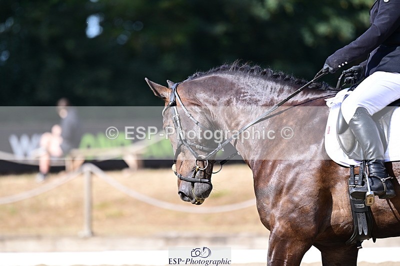 260802A-094026-04967 - Novice Bronze start - break