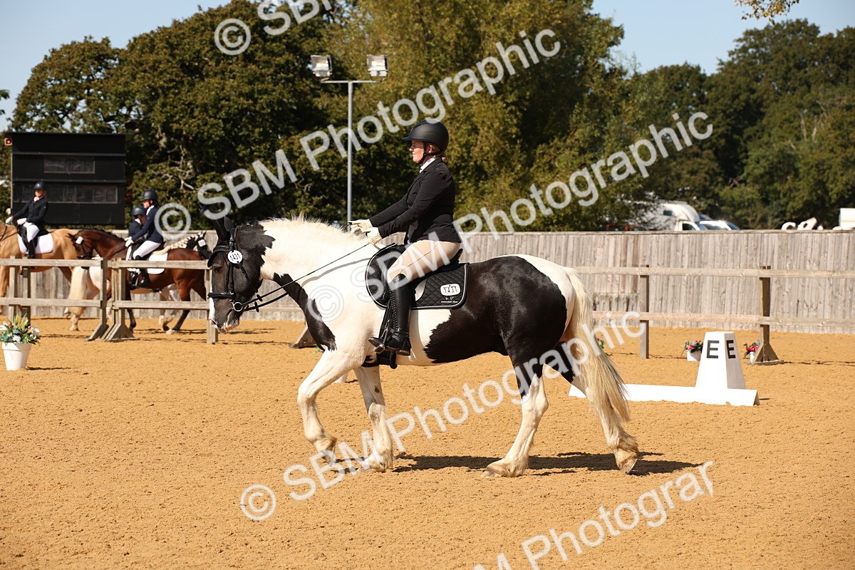 SBM_24130 - D5 - Small Tour Championship - Intro C