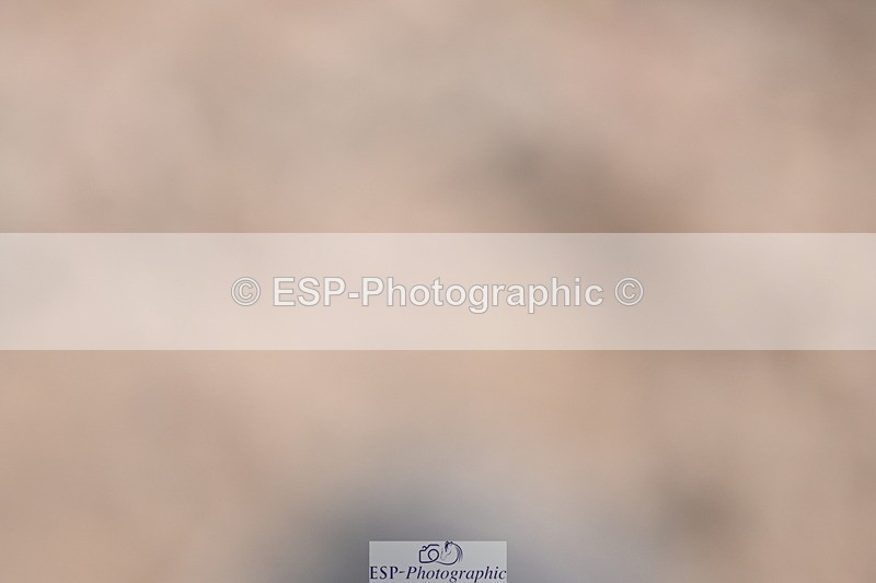 240622A-091735-06748 - Cls 23 BD Prelim 19