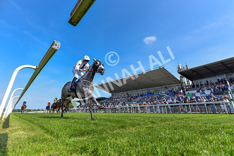 270526-Race 5-Penny Ghent-9038 - Race 5 16.15pm Connexin's Full Fibre For All Handicap