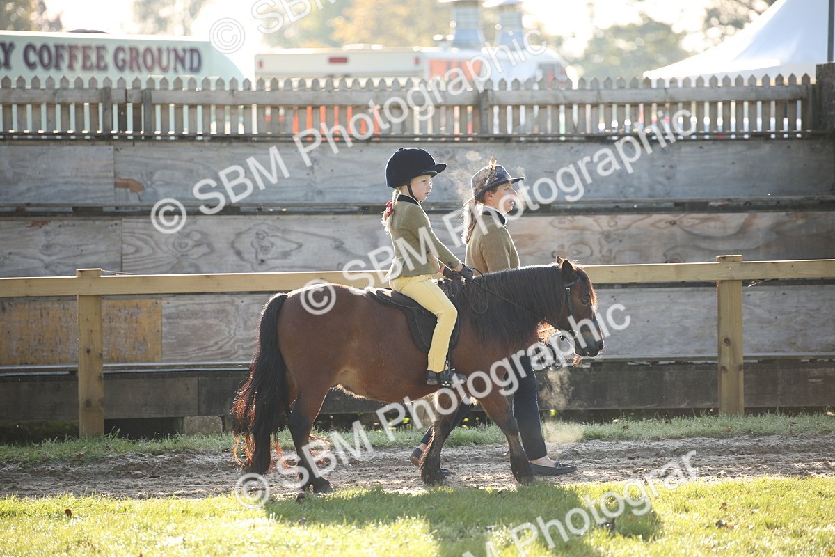 SBM_34146 - S9 - Lead Rein Equitation