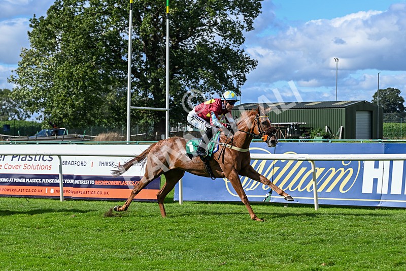 140926-Race 1-Satyress-6639 - Race 1 2.21pm Constant Security Services Apprentice Handicap