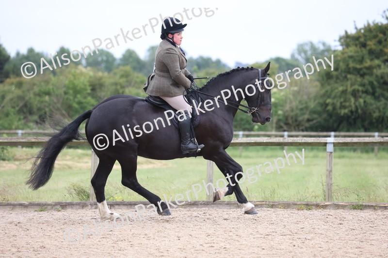 20250524-1390 - Class 16 - Hunter and Cob