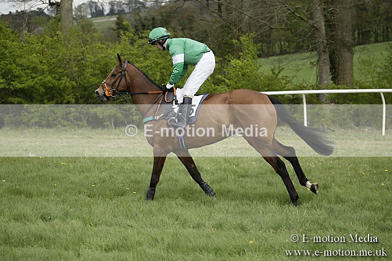 PtP 170417 142 - Old Berks Point-to-Point Lockinge 17/04/17