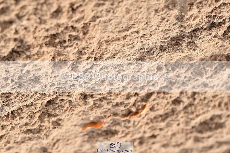 231015A-145010-08823 - Cls 26 1.05m Grand Prix