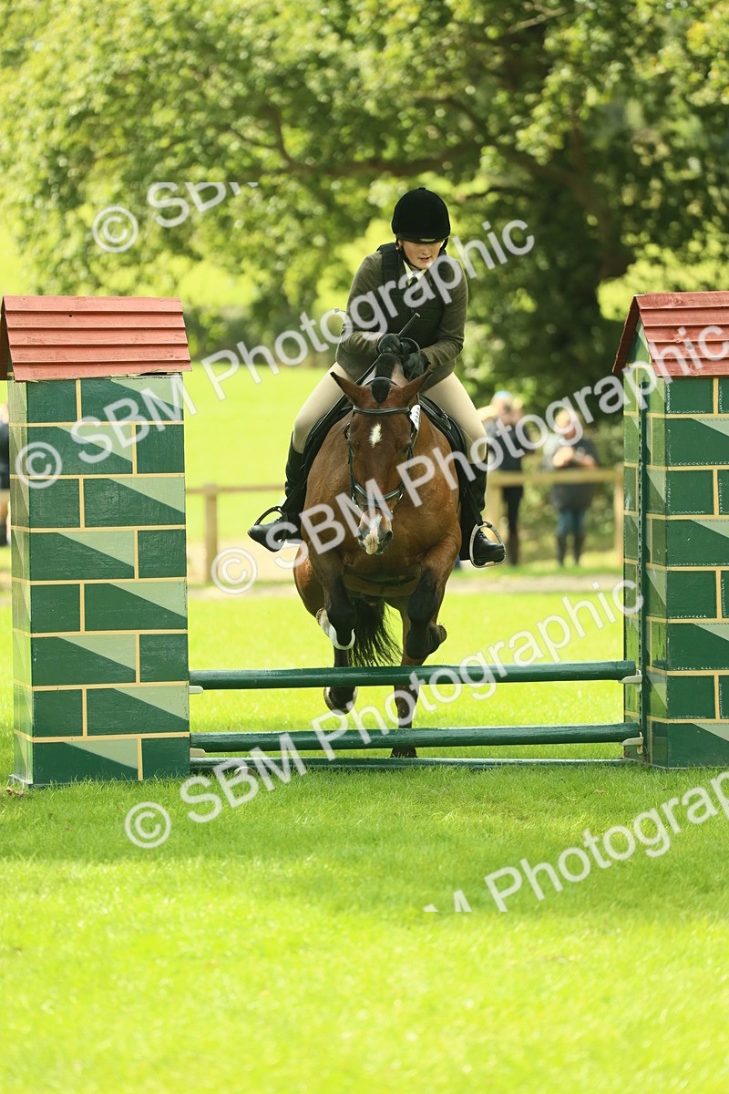SBM_42108 - S29 - Novice & Newcomers Working Hunter Pony