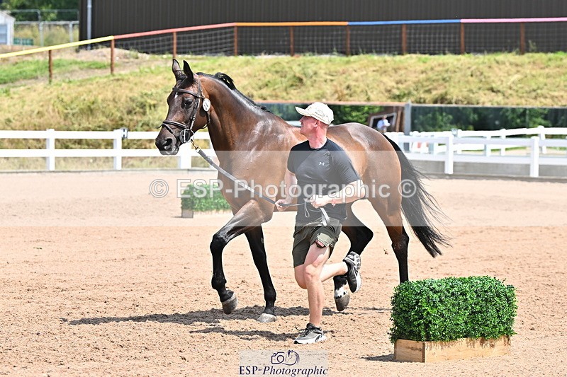 240718A-105314-01727 - Trot Up 1pm to 2pm