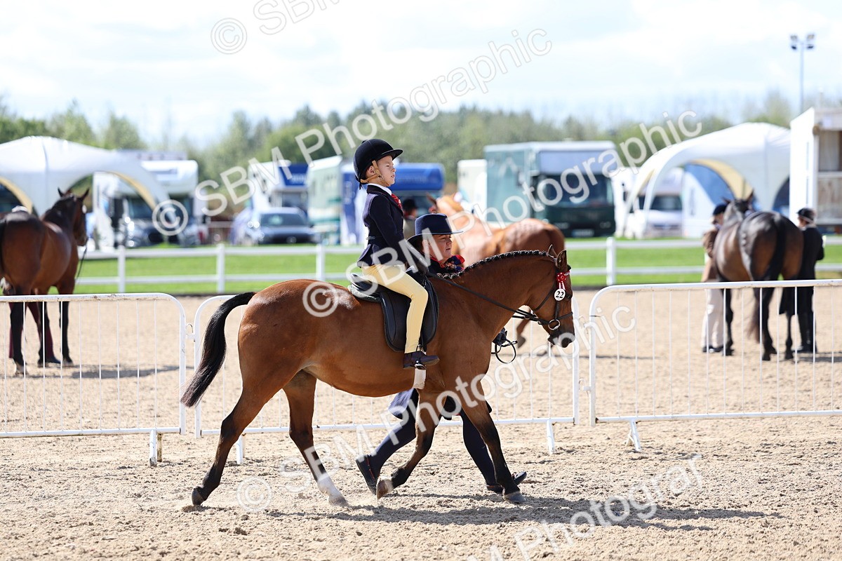 SBM_13040 - Class 309 - Lead Rein Pony